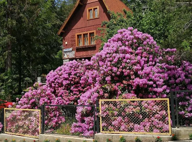 Willa W Dolinie بيت ضيافة