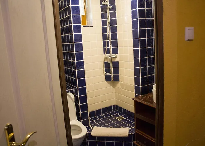 Willa W Dolinie 게스트하우스