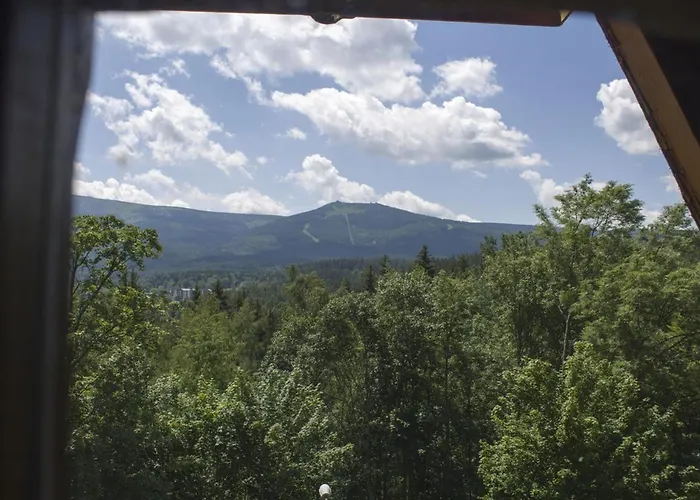 게스트하우스 Willa W Dolinie